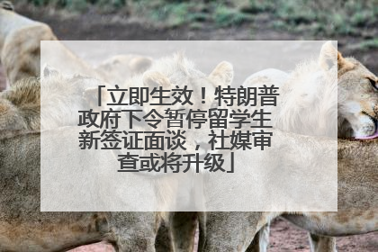 立即生效！特朗普政府下令暂停留学生新签证面谈，社媒审查或将升级