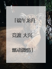 端午龙舟竞渡 大兴燃动激情