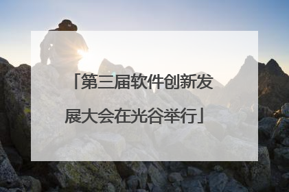 第三届软件创新发展大会在光谷举行