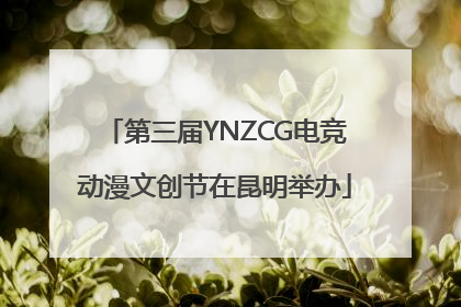第三届YNZCG电竞动漫文创节在昆明举办