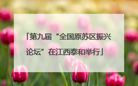第九届“全国原苏区振兴论坛”在江西泰和举行
