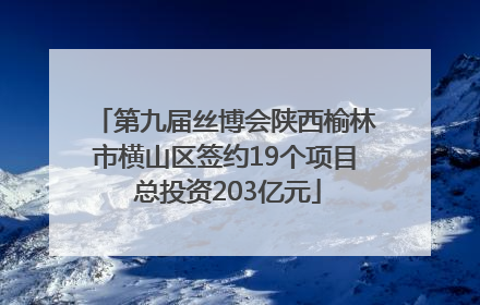 第九届丝博会陕西榆林市横山区签约19个项目 总投资203亿元