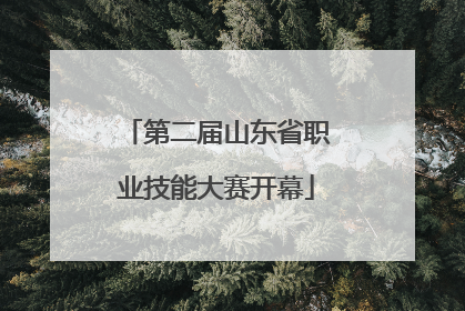 第二届山东省职业技能大赛开幕