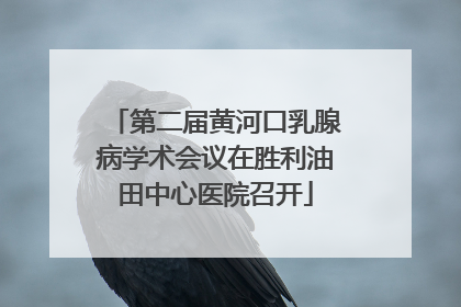 第二届黄河口乳腺病学术会议在胜利油田中心医院召开