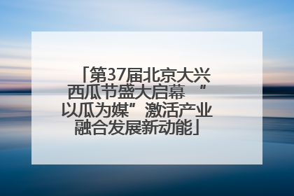 第37届北京大兴西瓜节盛大启幕 “以瓜为媒”激活产业融合发展新动能