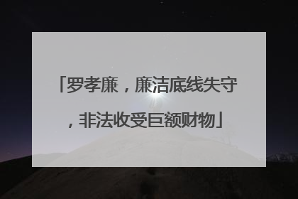 罗孝廉，廉洁底线失守，非法收受巨额财物