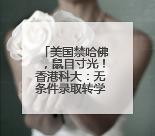 美国禁哈佛，鼠目寸光！香港科大：无条件录取转学生