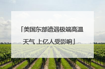 美国东部遭遇极端高温天气 上亿人受影响