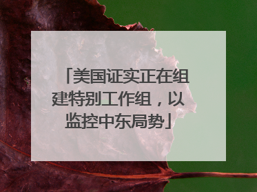 美国证实正在组建特别工作组，以监控中东局势