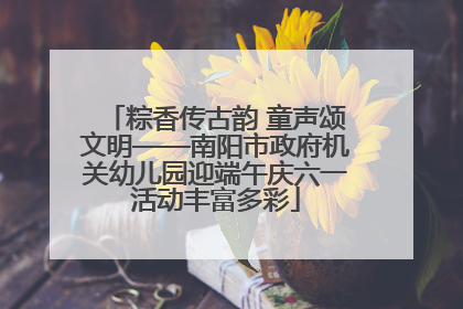 粽香传古韵 童声颂文明——南阳市政府机关幼儿园迎端午庆六一活动丰富多彩