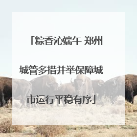 粽香沁端午 郑州城管多措并举保障城市运行平稳有序