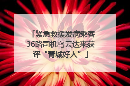 紧急救援发病乘客 36路司机乌云达来获评“青城好人”