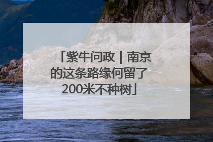 紫牛问政｜南京的这条路缘何留了200米不种树