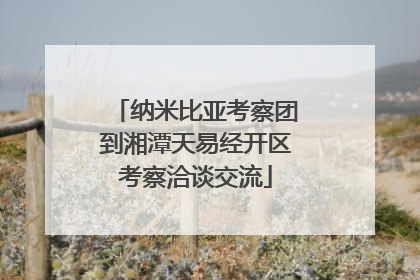纳米比亚考察团到湘潭天易经开区考察洽谈交流