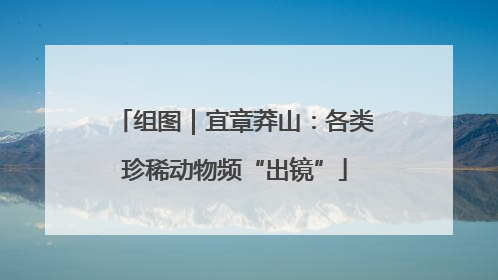 组图｜宜章莽山：各类珍稀动物频“出镜”