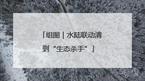 组图｜水陆联动清剿“生态杀手”