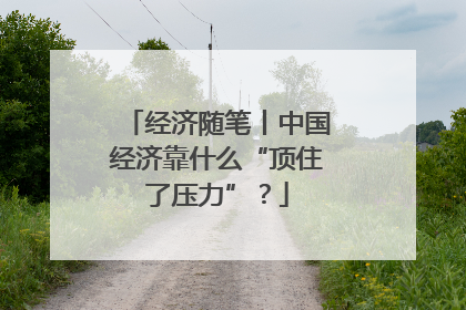 经济随笔丨中国经济靠什么“顶住了压力”？