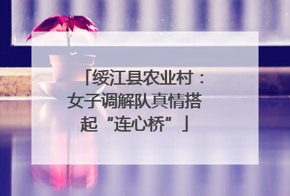 绥江县农业村：女子调解队真情搭起“连心桥”