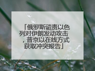 俄罗斯谴责以色列对伊朗发动攻击，普京以在线方式获取冲突报告