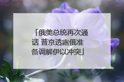 俄美总统再次通话 普京透露俄准备调解伊以冲突