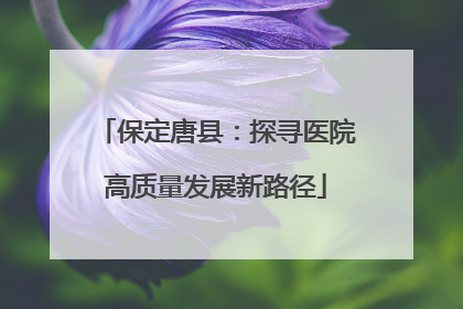 保定唐县：探寻医院高质量发展新路径