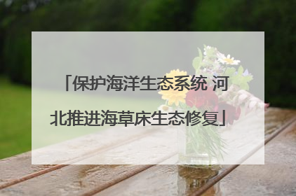 保护海洋生态系统 河北推进海草床生态修复