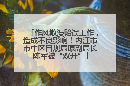 作风散漫贻误工作，造成不良影响！内江市市中区自规局原副局长陈军被“双开”