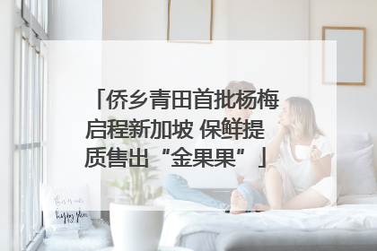 侨乡青田首批杨梅启程新加坡 保鲜提质售出“金果果”
