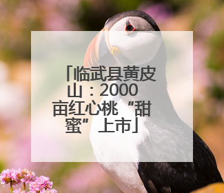 临武县黄皮山：2000亩红心桃“甜蜜”上市