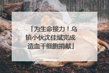为生命接力！乌镇小伙沈佳斌完成造血干细胞捐献