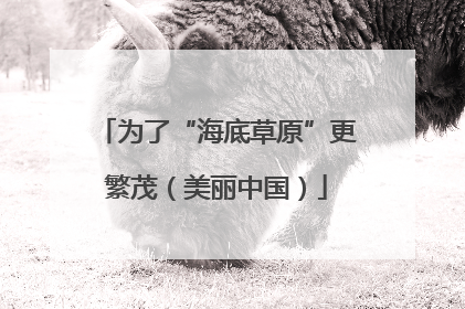 为了“海底草原”更繁茂（美丽中国）