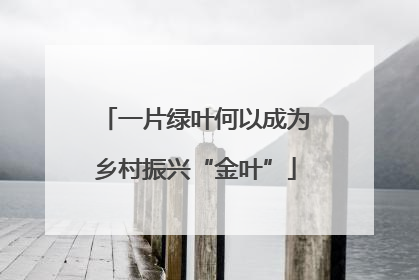 一片绿叶何以成为乡村振兴“金叶”