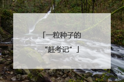 一粒种子的“赶考记”