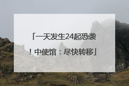一天发生24起恐袭！中使馆：尽快转移