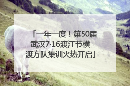 一年一度！第50届武汉7·16渡江节横渡方队集训火热开启