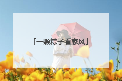 一颗粽子看家风