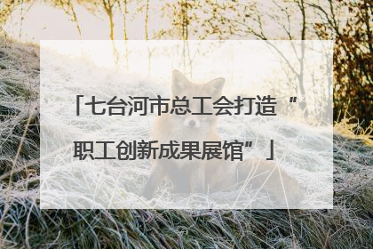 七台河市总工会打造“职工创新成果展馆”