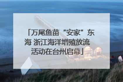 万尾鱼苗“安家”东海 浙江海洋增殖放流活动在台州启幕