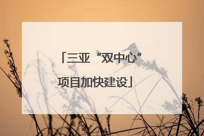 三亚“双中心”项目加快建设
