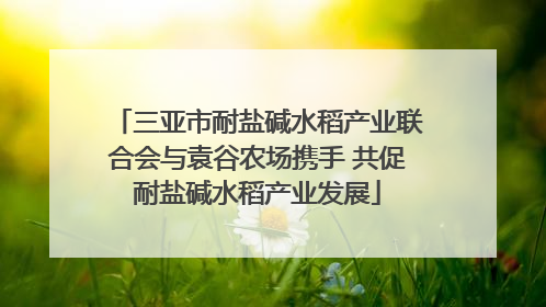 三亚市耐盐碱水稻产业联合会与袁谷农场携手 共促耐盐碱水稻产业发展