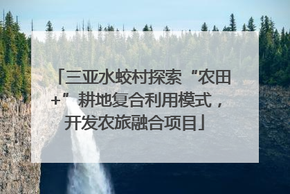 三亚水蛟村探索“农田+”耕地复合利用模式，开发农旅融合项目