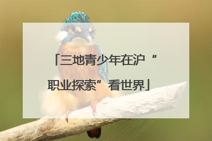 三地青少年在沪“职业探索”看世界