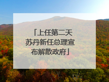 上任第二天 苏丹新任总理宣布解散政府