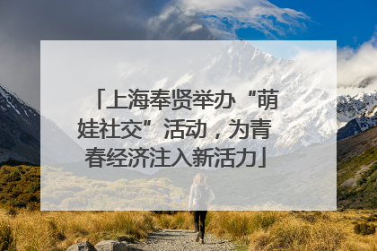 上海奉贤举办“萌娃社交”活动，为青春经济注入新活力