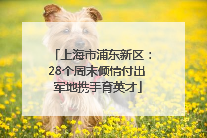 上海市浦东新区：28个周末倾情付出 军地携手育英才