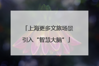 上海更多文旅场景引入“智慧大脑”