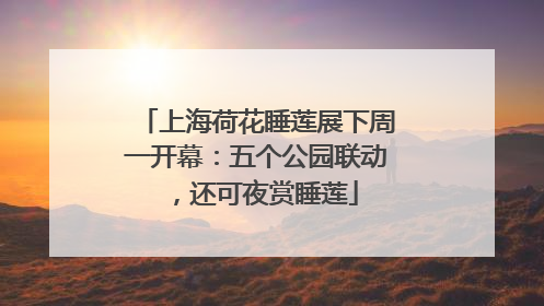 上海荷花睡莲展下周一开幕：五个公园联动，还可夜赏睡莲