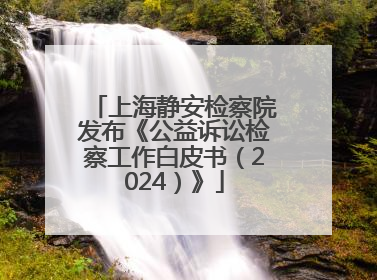 上海静安检察院发布《公益诉讼检察工作白皮书（2024）》