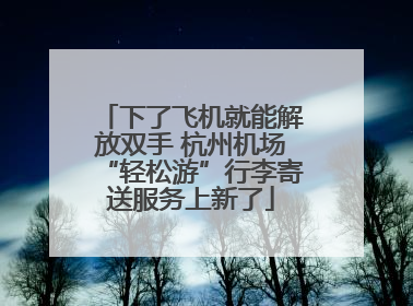 下了飞机就能解放双手 杭州机场“轻松游”行李寄送服务上新了