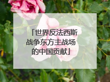 世界反法西斯战争东方主战场的中国贡献
